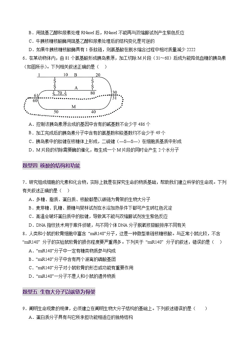 第04讲 蛋白质和核酸（练习）（原卷版）第3页