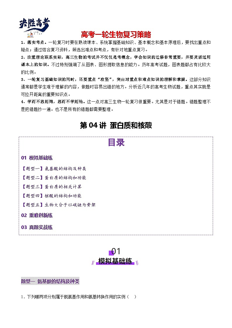 第04讲 蛋白质和核酸（练习）（解析版）第1页