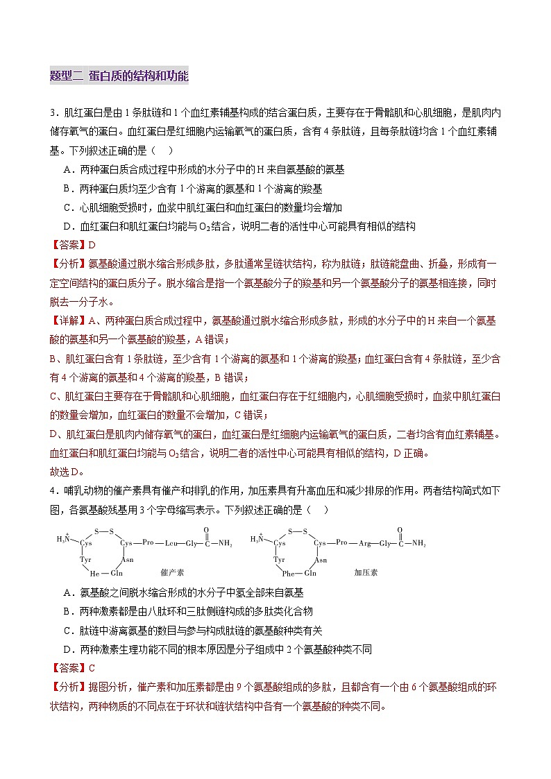 第04讲 蛋白质和核酸（练习）（解析版）第3页