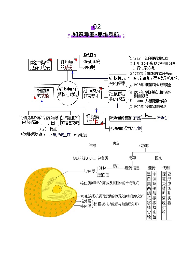 第05讲 细胞膜和细胞核（讲义）（解析版）第3页