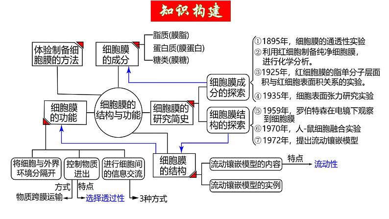 第05讲 细胞膜和细胞核（精美课件）-【高考一轮】2025年高考生物一轮复习课件（新教材新高考）第6页