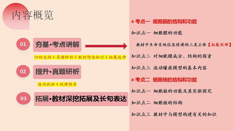 第05讲 细胞膜和细胞核（精美课件）-【高考一轮】2025年高考生物一轮复习课件（新教材新高考）第8页