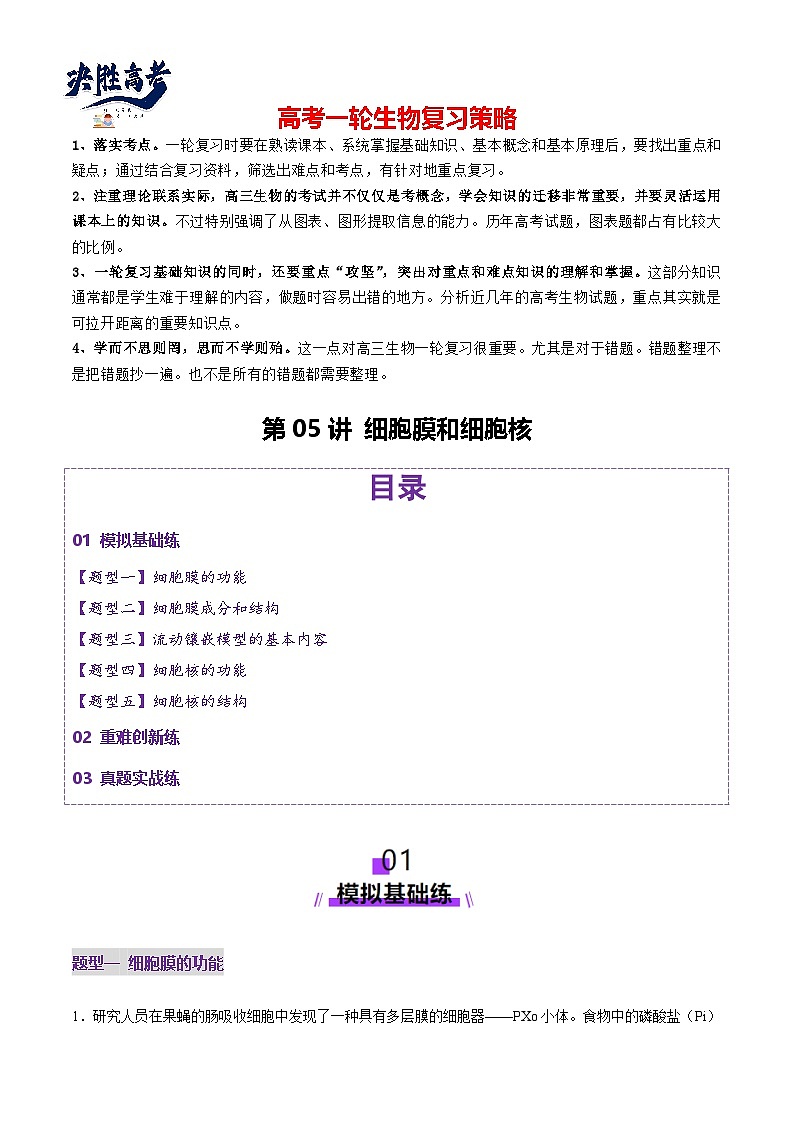 第05讲 细胞膜和细胞核（练习）（原卷版）第1页