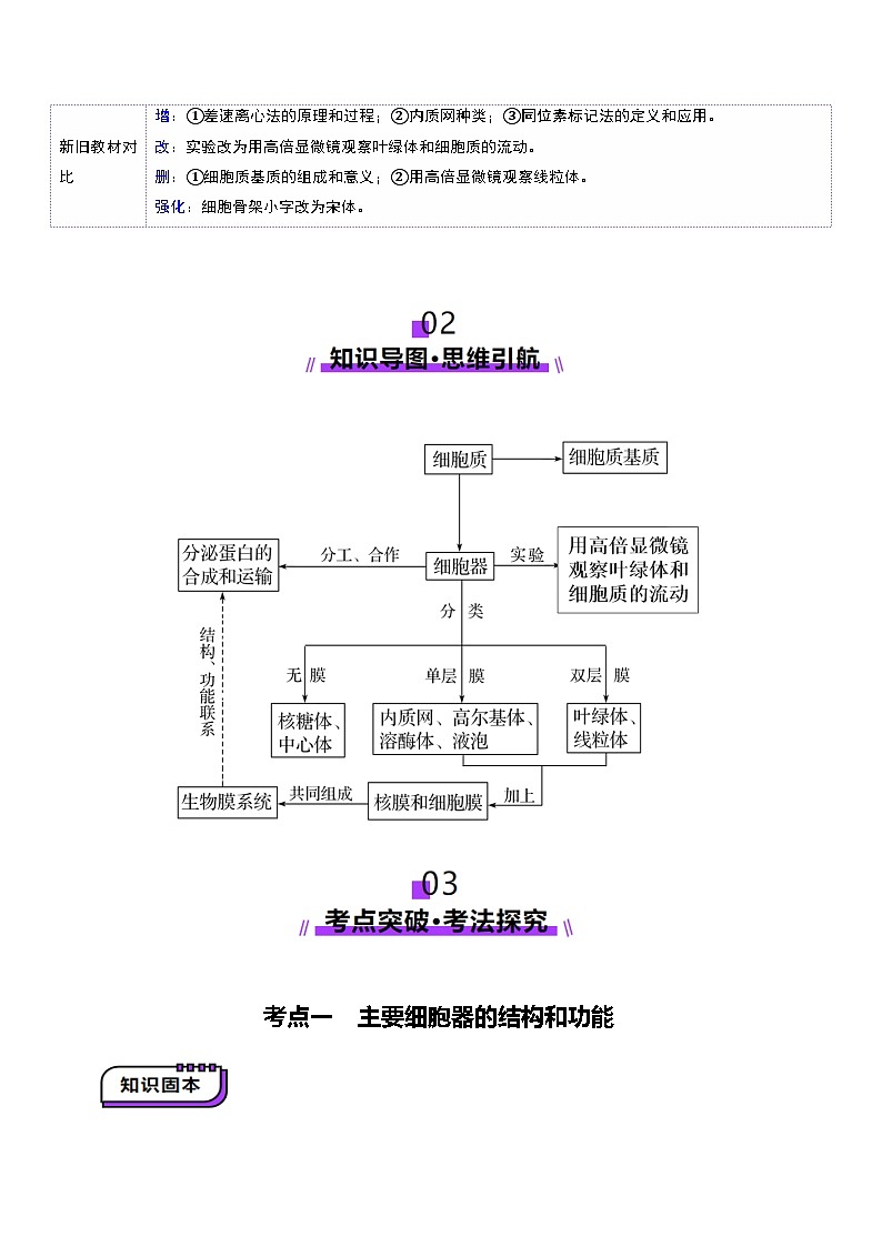 第06讲 细胞器和生物膜系统（讲义）（解析版）第3页
