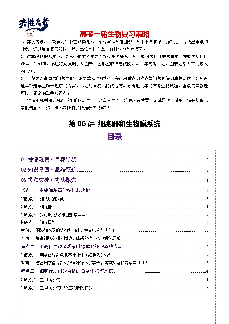 第06讲 细胞器和生物膜系统（讲义）（原卷版）第1页
