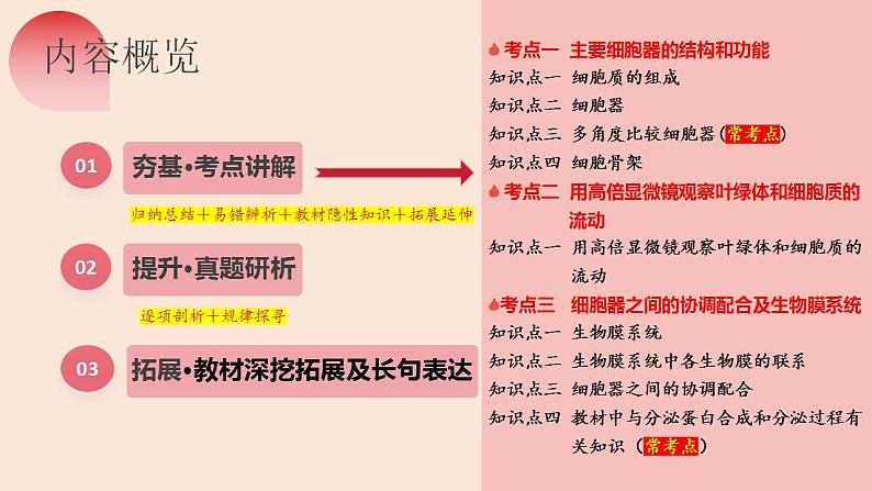 第06讲 细胞器和生物膜系统（精美课件）-【高考一轮】2025年高考生物一轮复习课件（新教材新高考）第7页