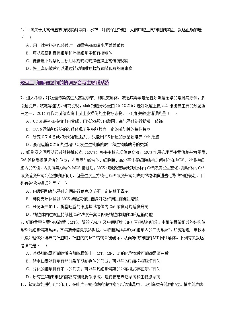 第06讲 细胞器和生物膜系统（练习）（原卷版）第3页