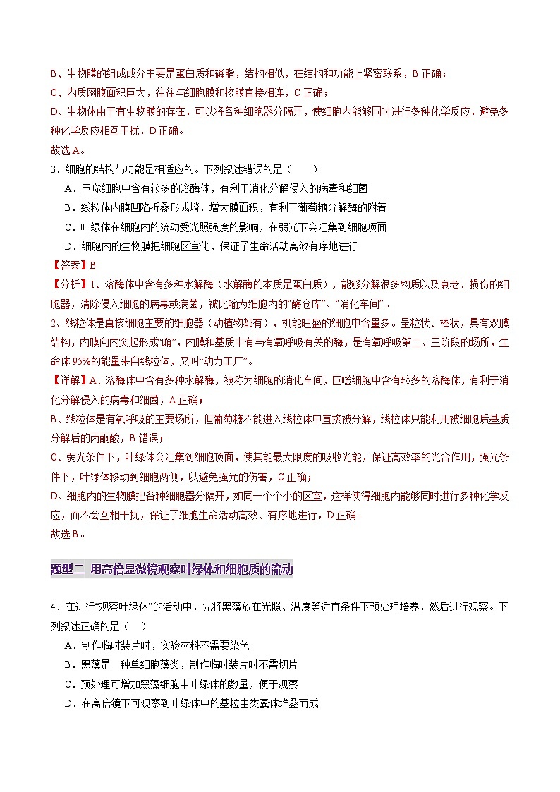 第06讲 细胞器和生物膜系统（练习）（解析版）第3页