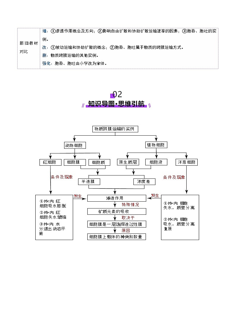 第07讲 物质运输（讲义）（解析版）第3页