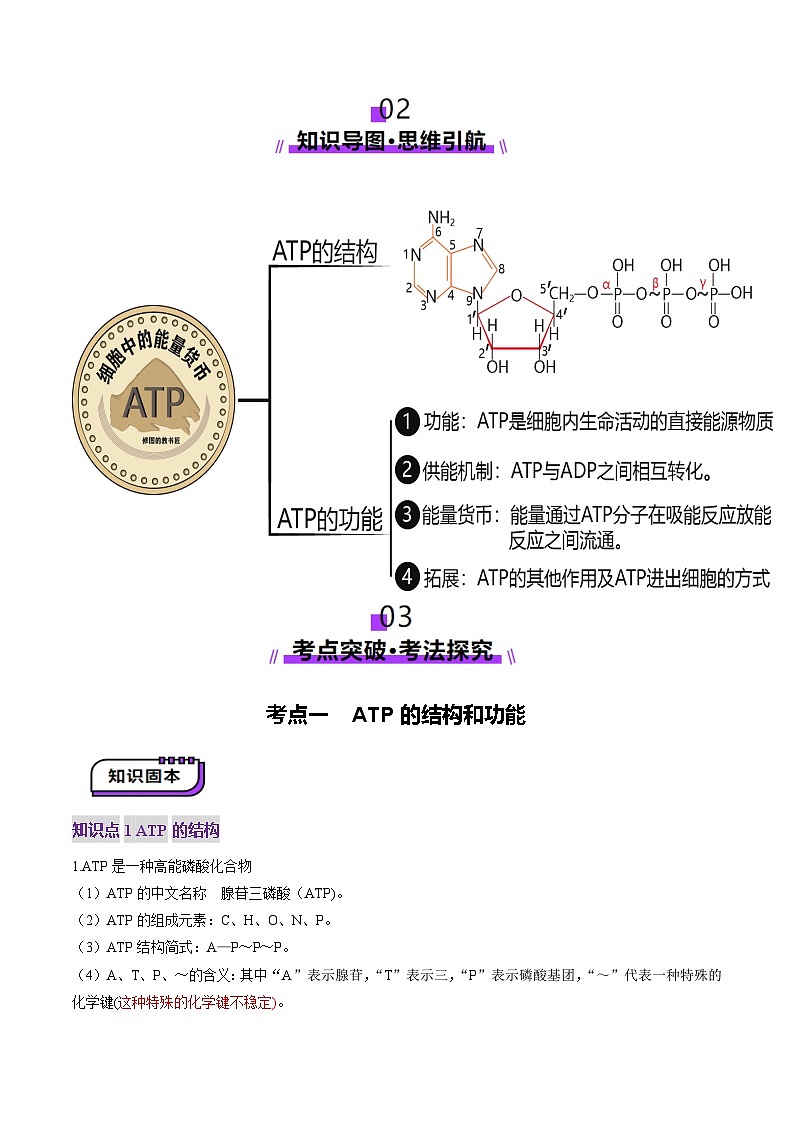 第08讲 酶和ATP（第二课时）（讲义）（原卷版）第3页