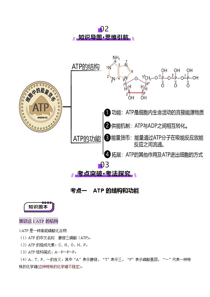 第08讲 酶和ATP（第二课时）（讲义）（解析版）第3页