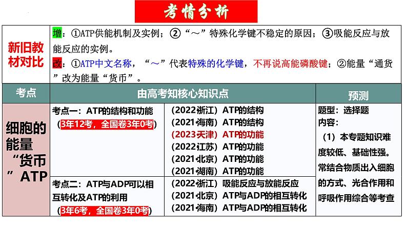 第08讲 酶和ATP（第二课时，ATP）（精美课件）-【高考一轮】2025年高考生物一轮复习课件（新教材新高考）第4页