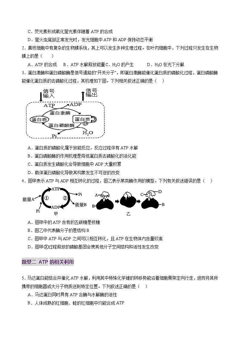 第08讲 酶和ATP（第二课时）（练习）（原卷版）第2页