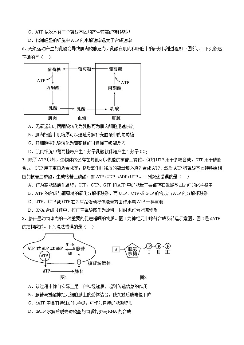 第08讲 酶和ATP（第二课时）（练习）（原卷版）第3页