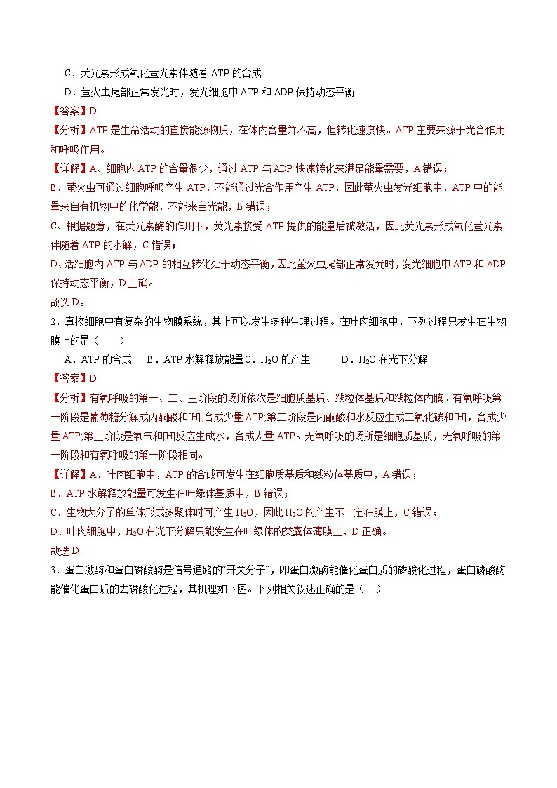 第08讲 酶和ATP（第二课时）（练习）（解析版）第2页
