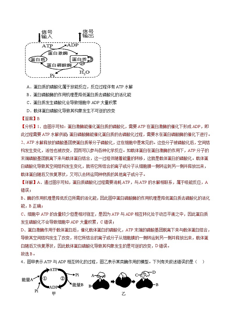第08讲 酶和ATP（第二课时）（练习）（解析版）第3页