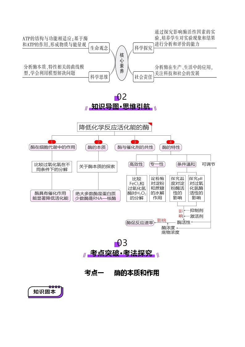 第08讲 酶和ATP（第一课时）（讲义）（原卷版）第3页