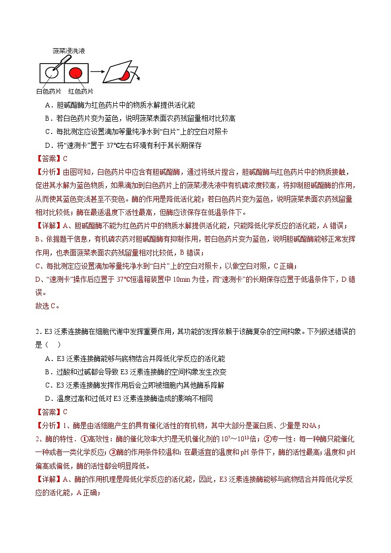 第08讲 酶和ATP（第一课时）（练习）（解析版）第2页