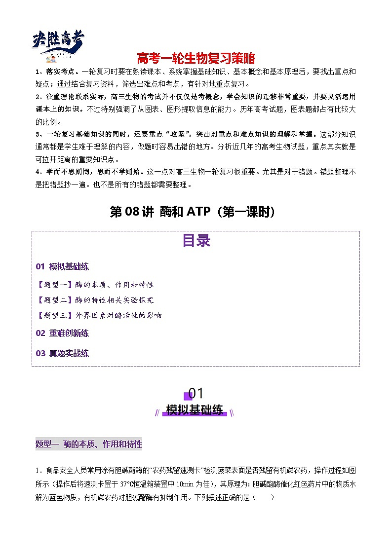 第08讲 酶和ATP（第一课时）（练习）（原卷版）第1页