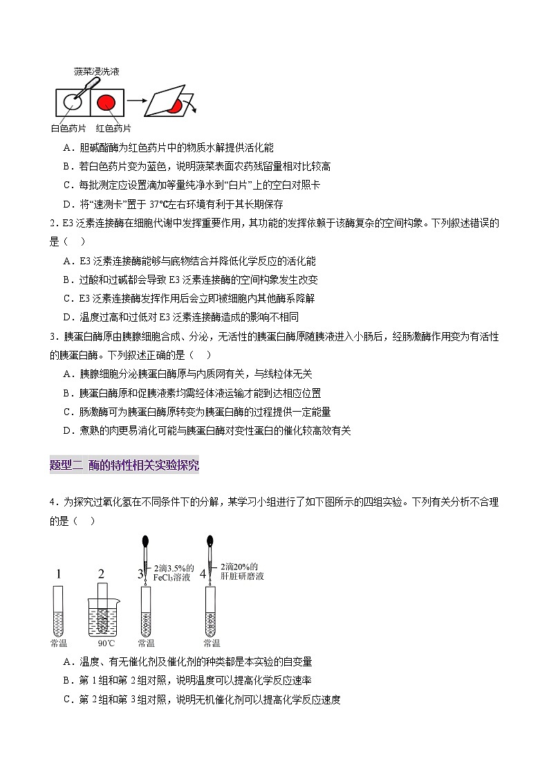 第08讲 酶和ATP（第一课时）（练习）（原卷版）第2页