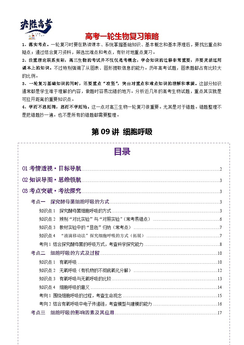 第09讲 细胞呼吸（讲义）（原卷版）第1页