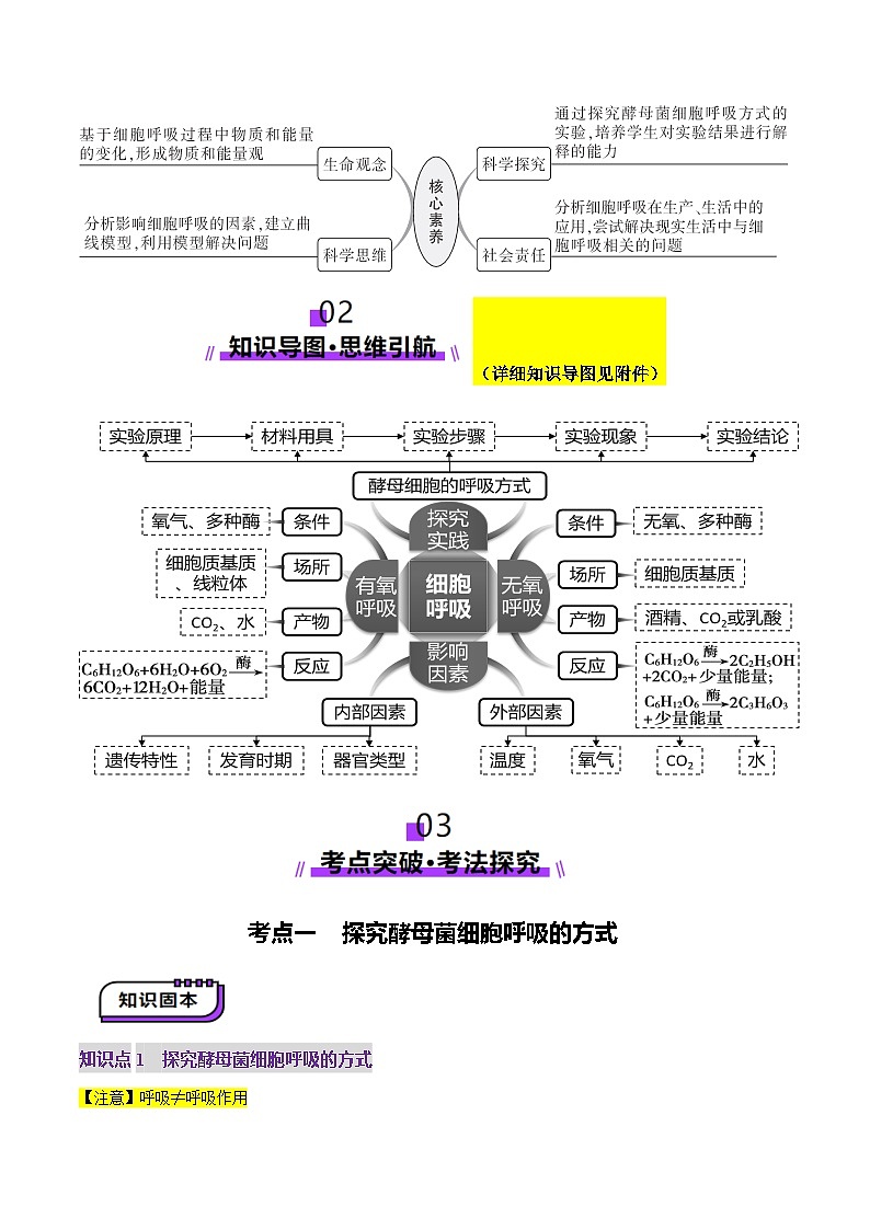 第09讲 细胞呼吸（讲义）（解析版）第3页