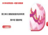 第09讲 细胞呼吸（课件）-2025年高考生物一轮复习课件+讲义+专练（新教材新高考）