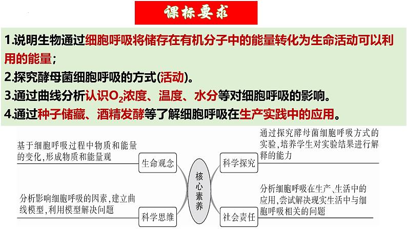 第09讲 细胞呼吸（精美课件）-【高考一轮】2025年高考生物一轮复习课件（新教材新高考）第5页