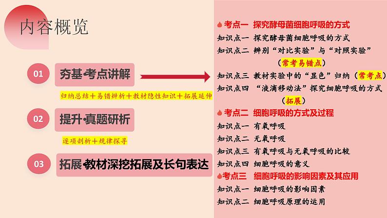 第09讲 细胞呼吸（精美课件）-【高考一轮】2025年高考生物一轮复习课件（新教材新高考）第7页