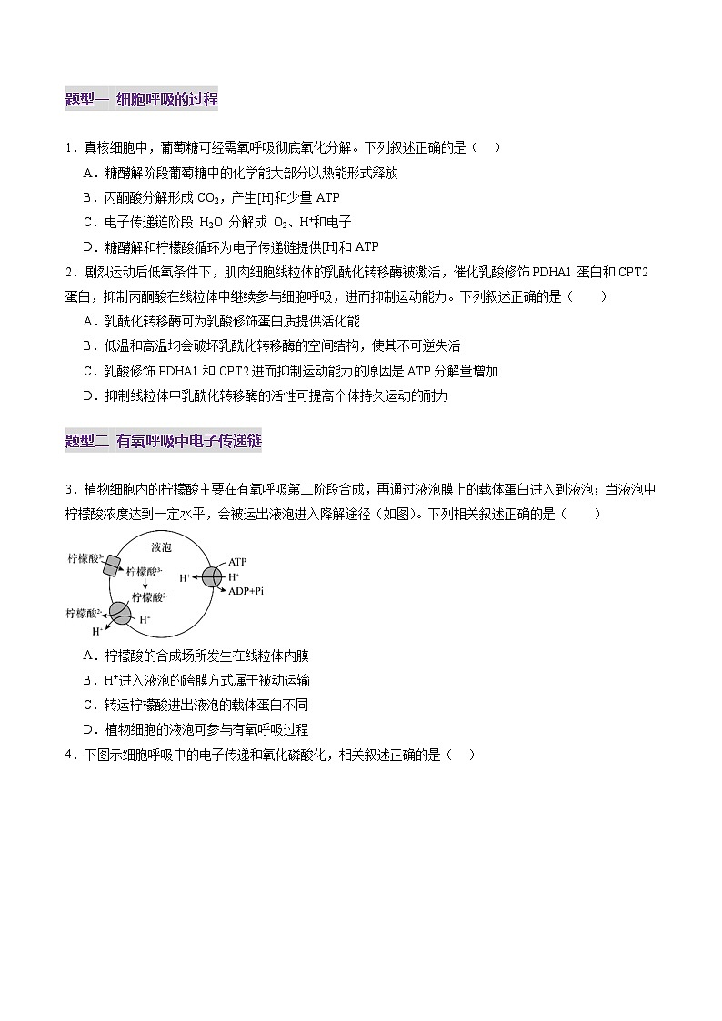 第09讲 细胞呼吸（练习）（原卷版）第2页
