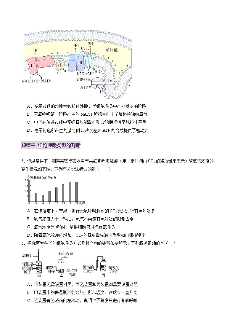 第09讲 细胞呼吸（练习）（原卷版）第3页