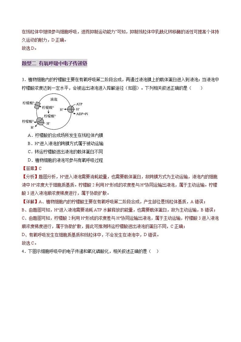 第09讲 细胞呼吸（练习）（解析版）第3页