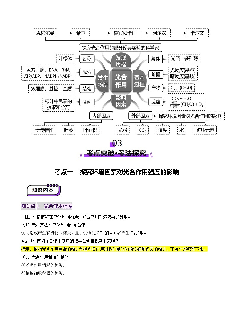 第10讲 光合作用（第二课时）（讲义）（解析版）第3页