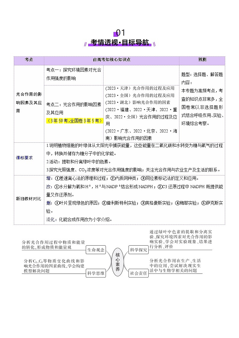 第10讲 光合作用（第二课时）（讲义）（原卷版）第2页