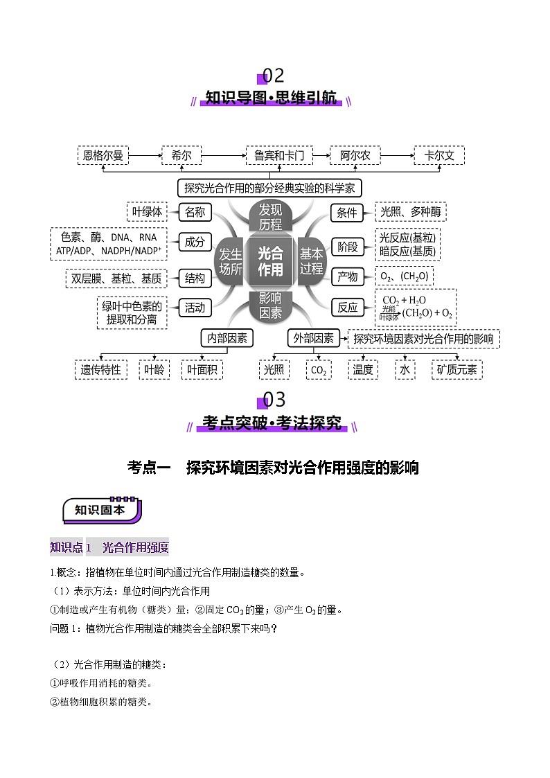 第10讲 光合作用（第二课时）（讲义）（原卷版）第3页