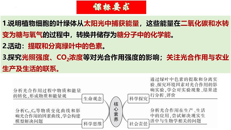 第10讲 光合作用（第二课时，光合作用的影响因素及其应用）（精美课件））-【高考一轮】2025年高考生物一轮复习课件（新教材新高考）第5页