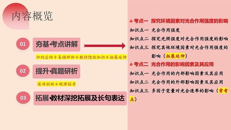 第10讲 光合作用（第二课时，光合作用的影响因素及其应用）（精美课件））-【高考一轮】2025年高考生物一轮复习课件（新教材新高考）第7页