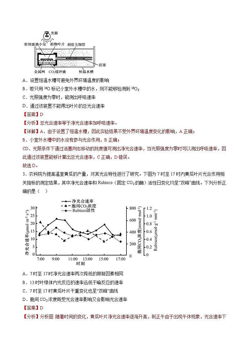 第10讲 光合作用（第二课时）（练习）（解析版）第3页