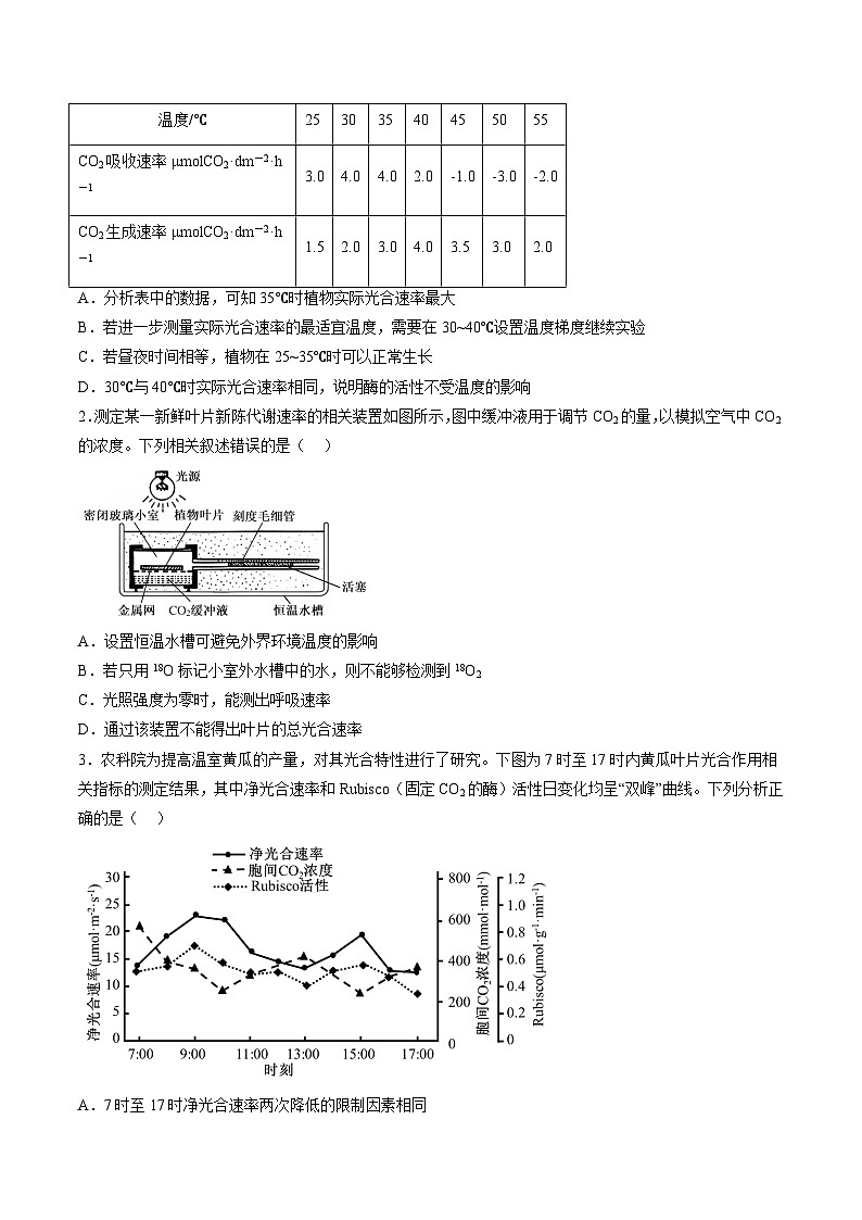 第10讲 光合作用（第二课时）（练习）（原卷版）第2页