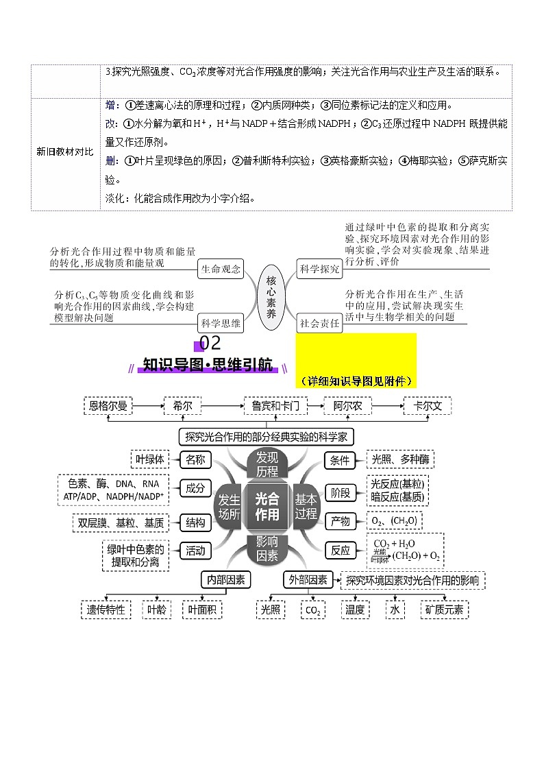 第10讲 光合作用（第一课时）（讲义）（解析版）第3页