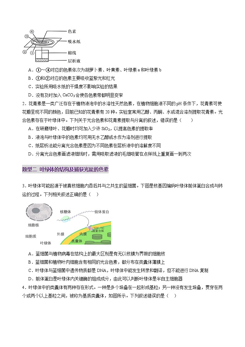 第10讲 光合作用（第一课时）（练习）（原卷版）第2页