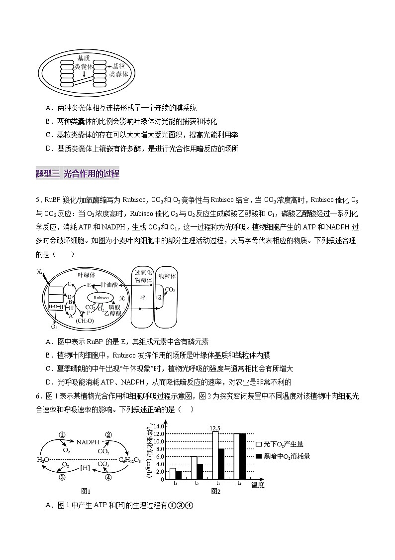 第10讲 光合作用（第一课时）（练习）（原卷版）第3页