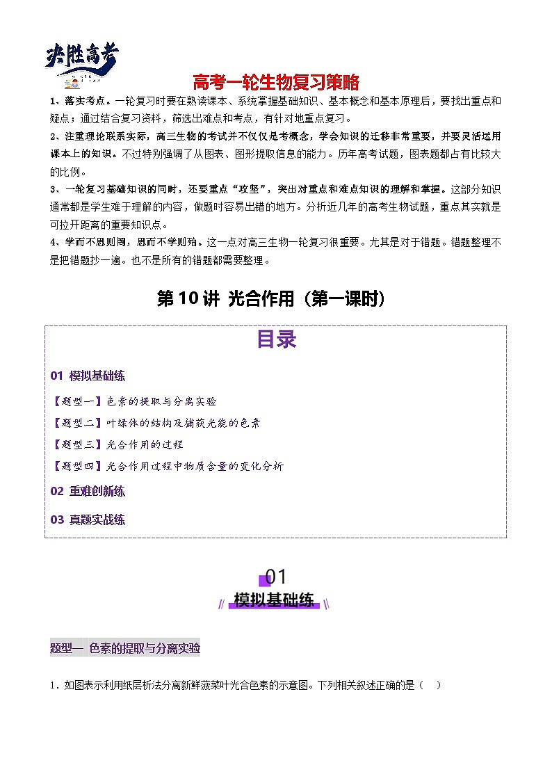 第10讲 光合作用（第一课时）（练习）（解析版）第1页