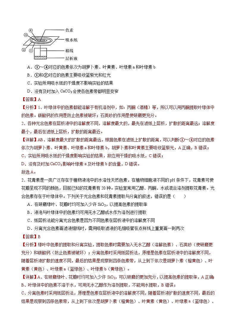 第10讲 光合作用（第一课时）（练习）（解析版）第2页