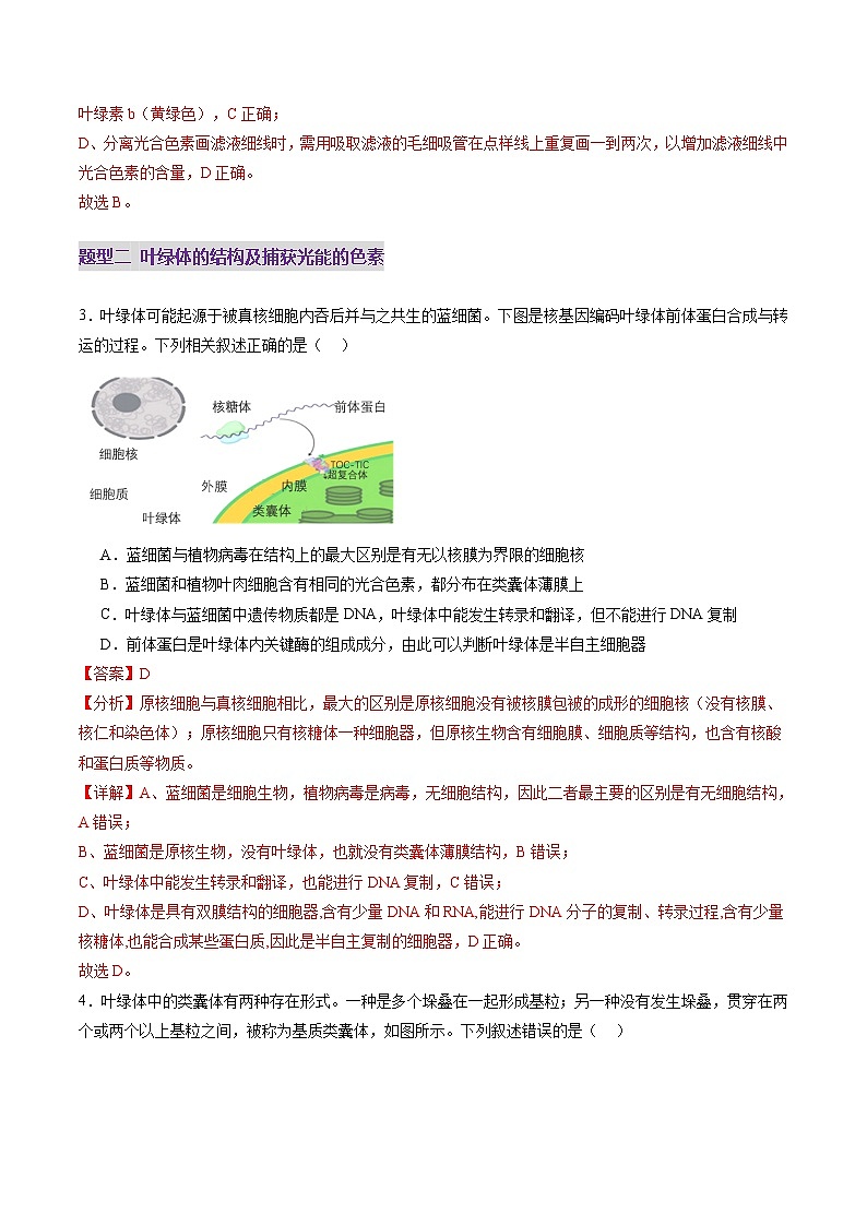 第10讲 光合作用（第一课时）（练习）（解析版）第3页
