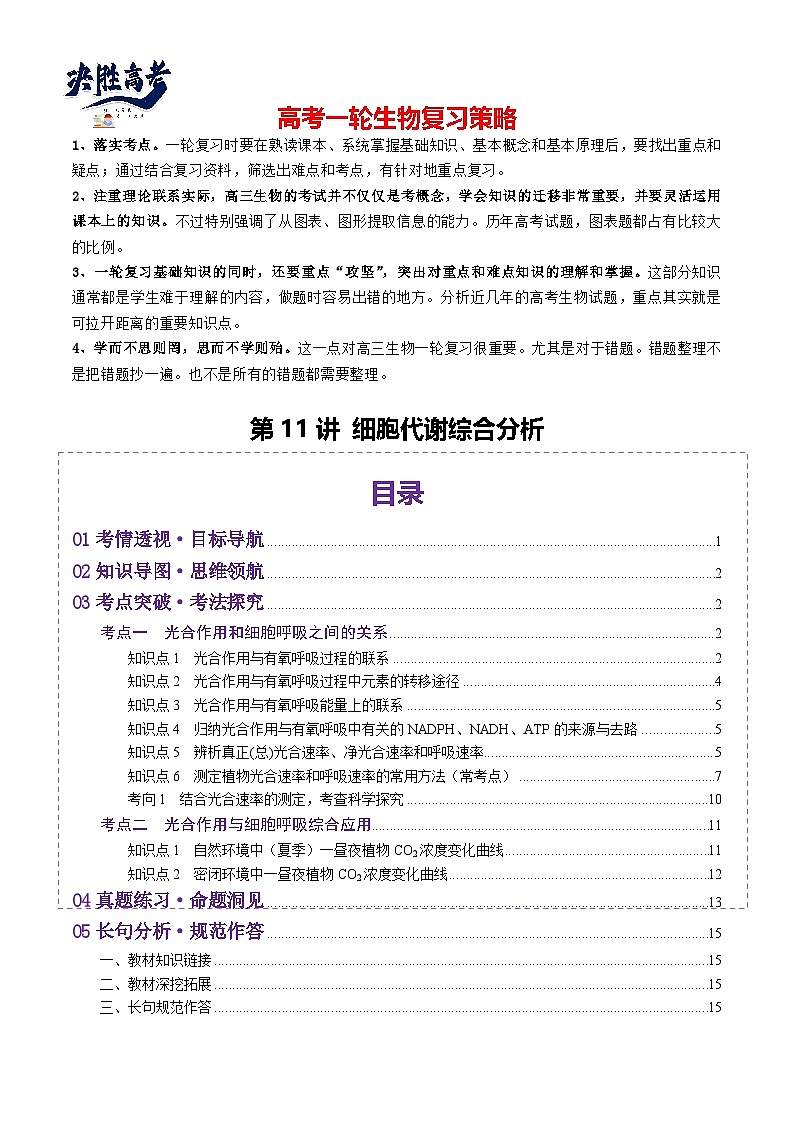 第11讲 细胞代谢综合分析（讲义）（原卷版）第1页