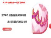 第11讲 细胞代谢综合分析（课件）-2025年高考生物一轮复习课件+讲义+专练（新教材新高考）