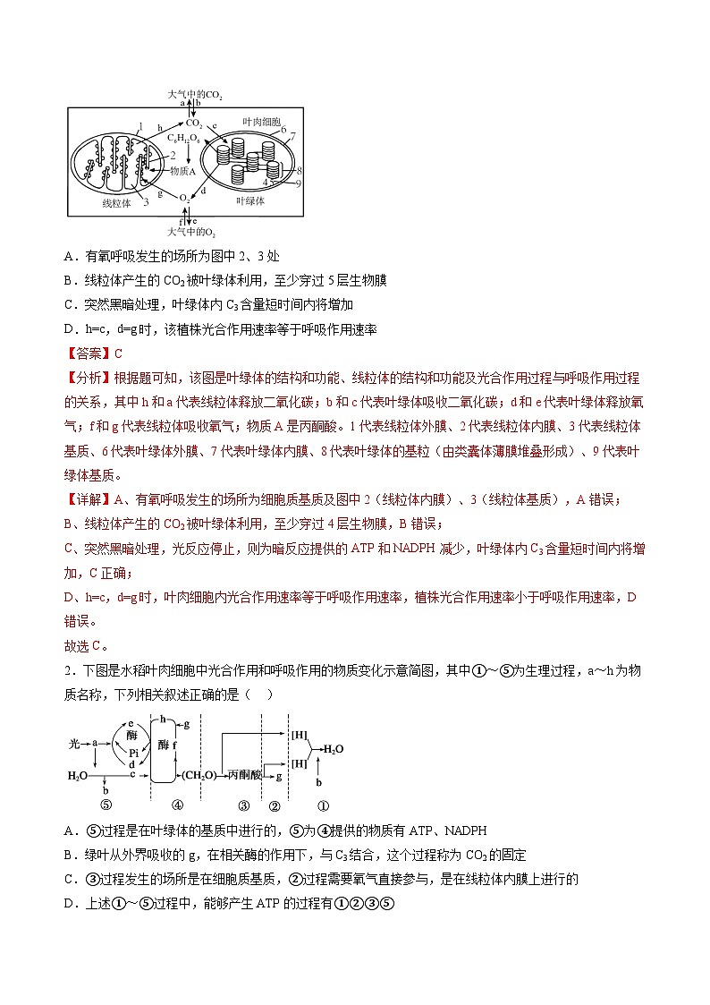 第11讲 细胞代谢综合分析（练习）（解析版）第2页