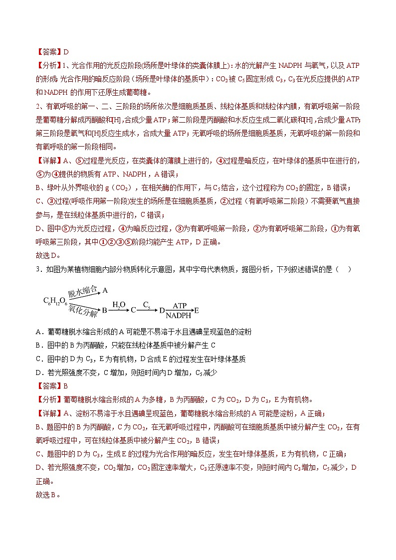 第11讲 细胞代谢综合分析（练习）（解析版）第3页