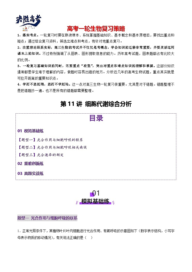 第11讲 细胞代谢综合分析（练习）（原卷版）第1页